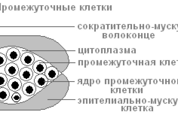 Кракен даркмаркет плейс официальный сайт