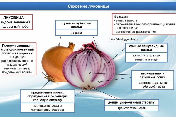 Кракен это современный даркнет маркет плейс